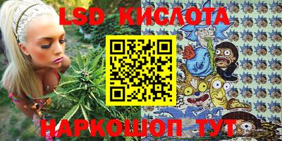 СК Канаш