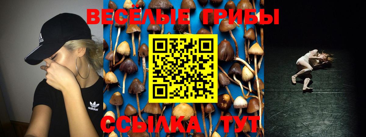 Псилоцибиновые грибы Psilocybe  Вход с VPN  Лесосибирск 